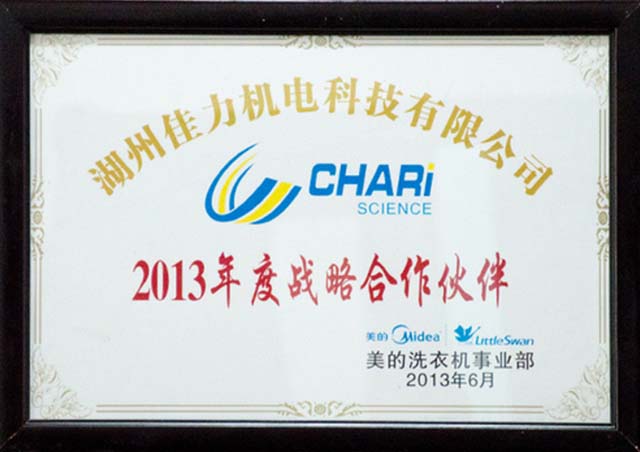 Strategic partner of 2013