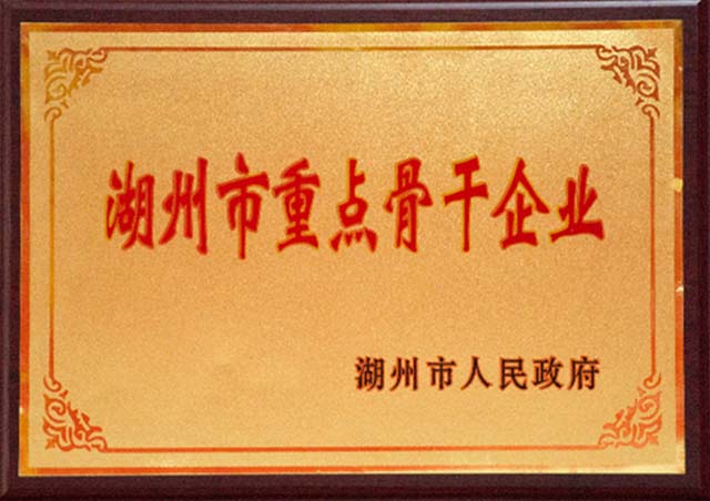Huzhou key backbone enterprise