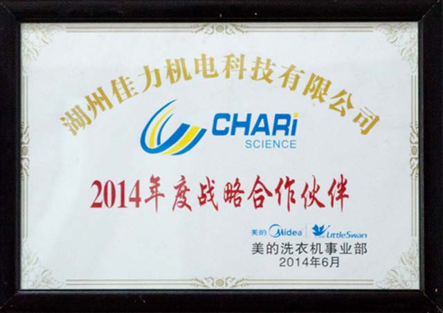 2014 annual strategic partner