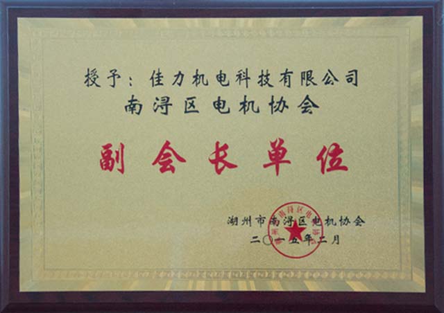 Deputy president unit of Nanxun District Electric Motor Association
